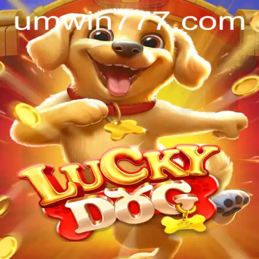 Discovering the Excitement of LuckyDog and UMWIN
